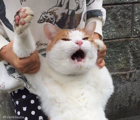 일리� on Twitter: "아 이거놔봐 쟤가 먼저 https://t.co/K66yvd7ePu" / Twitter