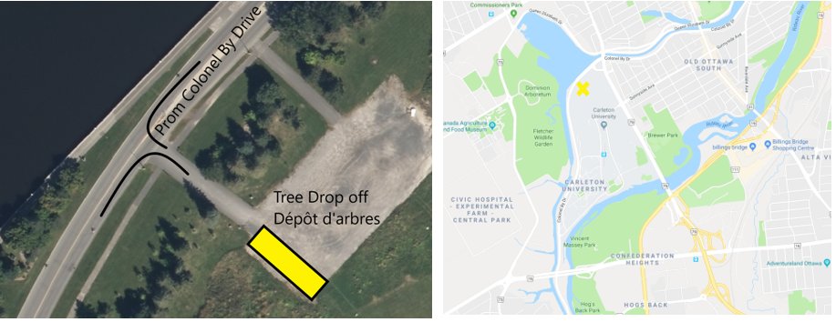 NCC_Skateway's tweet photo. REMINDER | Instead of putting your tree out at the curb, take it to the #RideauCanal Skateway Christmas Tree drop off so we can reuse them for the rest areas! 🎄

The drop off location is on Colonel By Drive, just west of the Bronson Avenue Bridge. See the map below 👇 https://t.co/fHQmRTYRWz