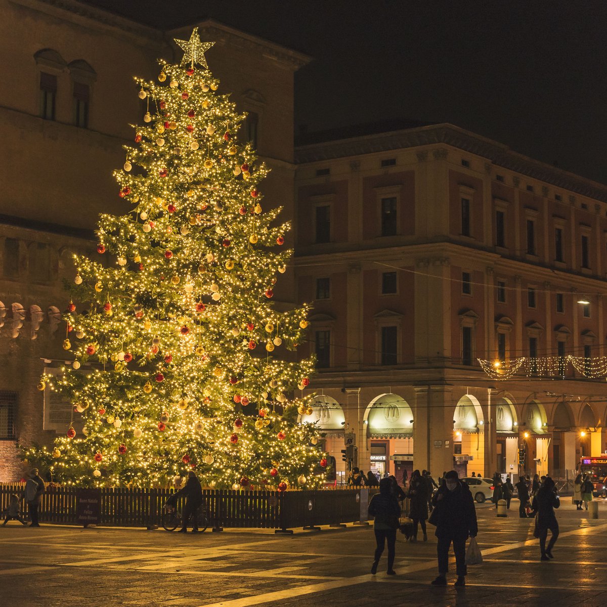 luigilauriolaX's tweet photo. Bellissima #Bologna 
in questi giorni di festa.
#Natale2020 #piazzadelNettuno
#piazzamaggioreBologna #XmasTree https://t.co/WNlg1Mueli