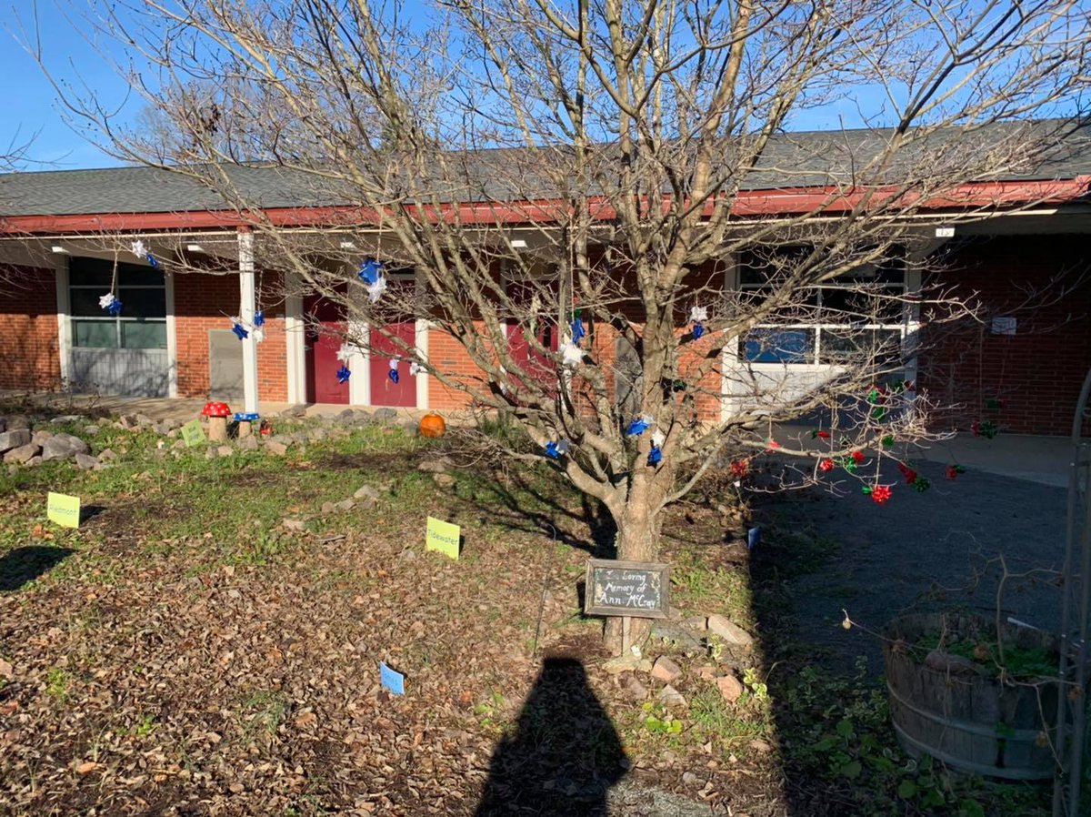 HanoverSchools's tweet image. BEAUTIFUL BOWS! There are various bows in the garden at Elmont Elementary School to represent different winter holidays!

#InspireEmpowerLead #StrongerTogether