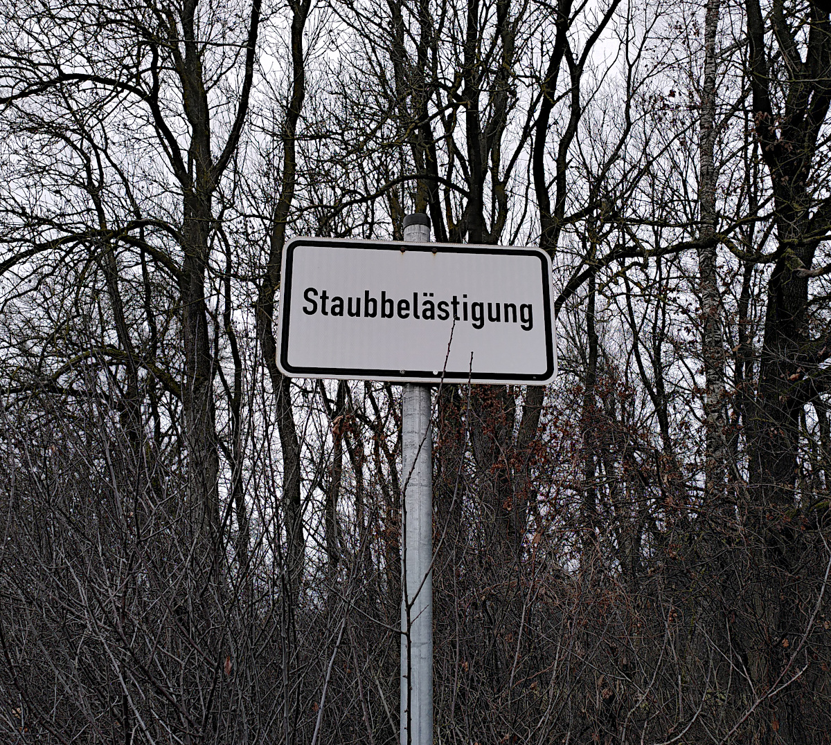 FKKanzler's tweet photo. Feenstaub? #sign #oddities #strange #forestfind #oddfinds #strangesigns #schild #wiebitte #feenstaub #verkehrsschild #straรenschild #blechschild #zweige #wald #grauingrau #aschezuasche #staubzustaub https://t.co/Ib0tZrDGlv