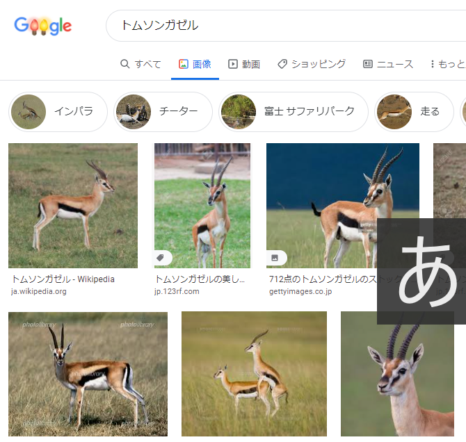 ガゼルのtwitterイラスト検索結果 ガゼルのtwitterイラスト検索結果