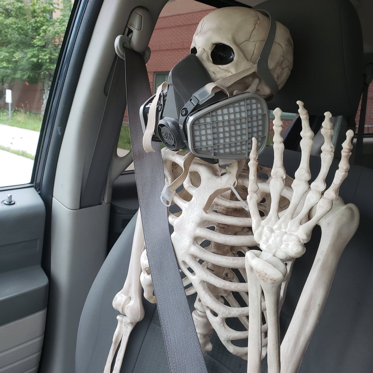 insectogram's tweet image. We're gonna get you