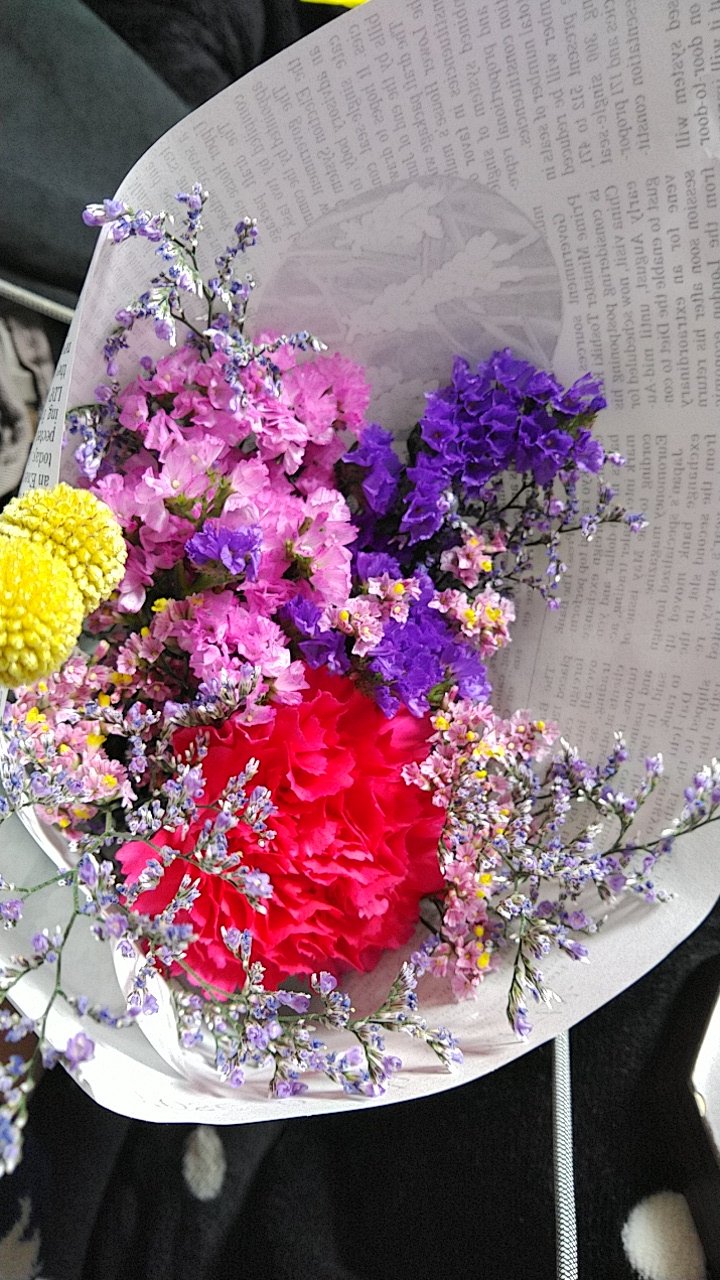 緋森 痛みがちモヤシ 下の葉が枯れて新しい葉が出て根も新しいのと古いのがあるみたいで植え替えをしたいが バークや水苔が何処に売ってるか分からない 東京のホームセンターって何処よ こちとらニトリとカインズ育ちだぜ W Twitter