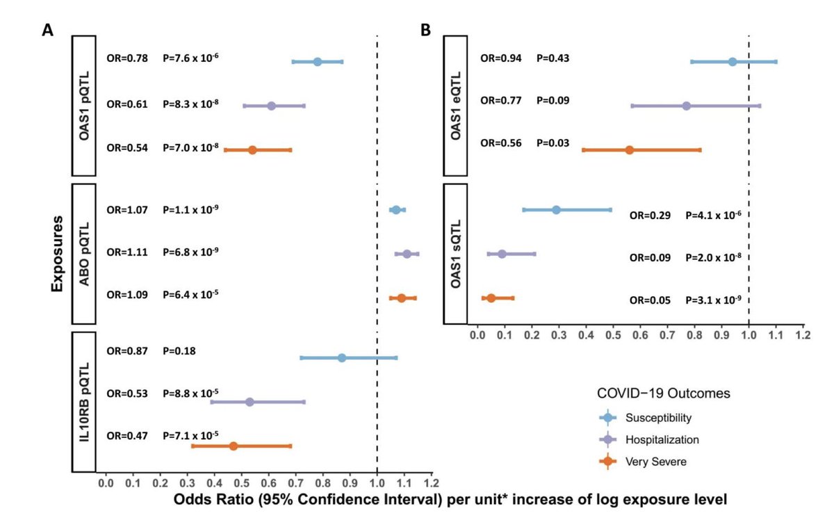 Why are some asymptomatic and others in the ICU with severe  #COVID19 ?Here we provide updated pre-print evidence that a form of a protein derived from Neanderthals protects against  #COVID19 susceptibility and severity.1/n https://www.medrxiv.org/content/10.1101/2020.10.13.20212092v4