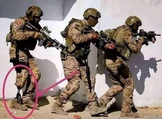 GÉNÉRAL⚔🇹🇳 tweet media