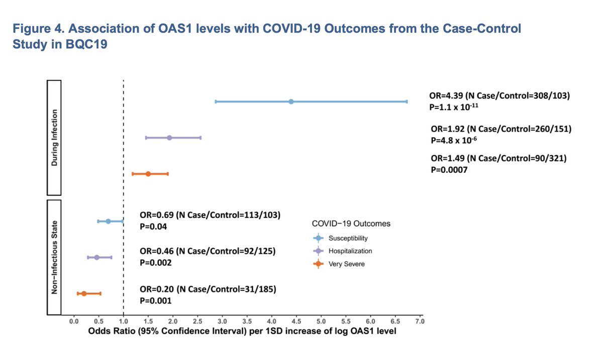 Next, measuring OAS1 levels in patients with  #COVID19 during the course of their infection, we found that individuals with higher OAS1 levels in a non-infected state had lower odds of susceptibility and severe  #COVID19 Providing, two separate lines of evidence implicating OAS1