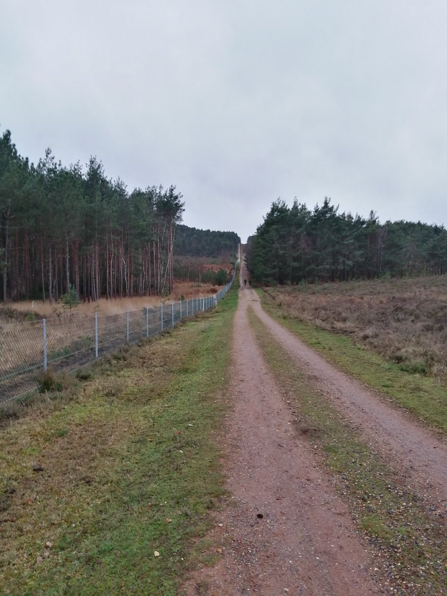 swizzlestick19's tweet photo. 9km boxing day 'dander' across the Ash Ranges, grey cloud, light rain, refreshing....... Quick shower and off to the workplace 🚒 #boxingdaynight https://t.co/vILbaMVa7X