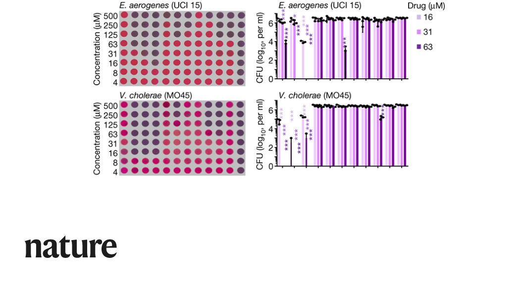 A paper published in Nature reports the development of novel inhibitors of IspH enzymes that are active against several multidrug-resistant bacterial pathogens. go.nature.com/3nNvl8N