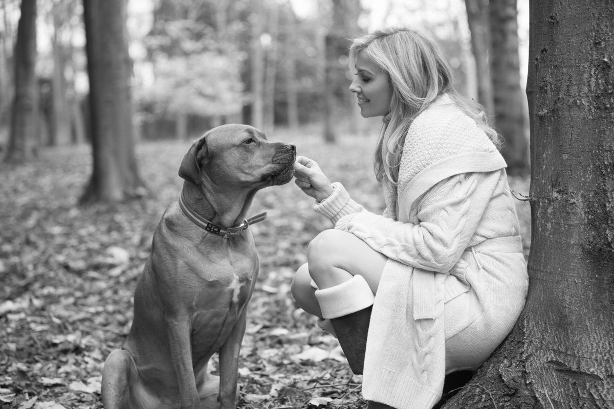 HAPPY BIRTHDAY STANLEY BEAR!❤️The kindest most loving best pal! Stanley you have left your paw prints on my heart forever! 🐶 🐻 ❤️🥳💓