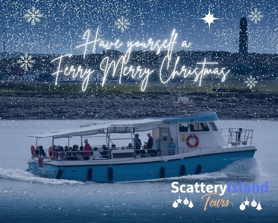 Scattery Island Tours (@scatterytours) on Twitter photo 