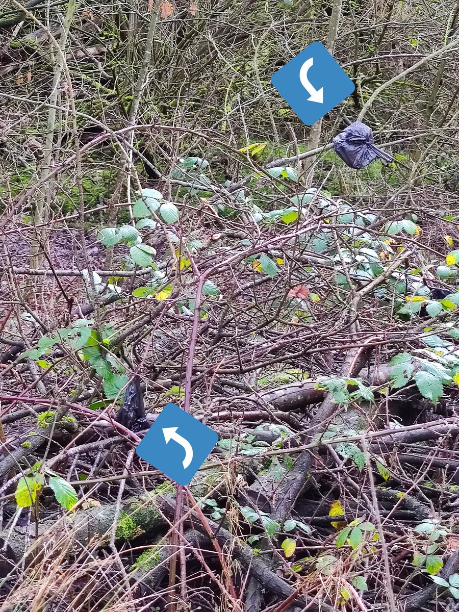 DogPooFairy's tweet photo. Many fairies like to hang around in trees, especially at this time of year. So why can't you hang these plastic packed poops off your own tree at home rather than hanging them off the trees around Newgate Nature Reserve?
#DontBeATosser https://t.co/hMllnxCOOl