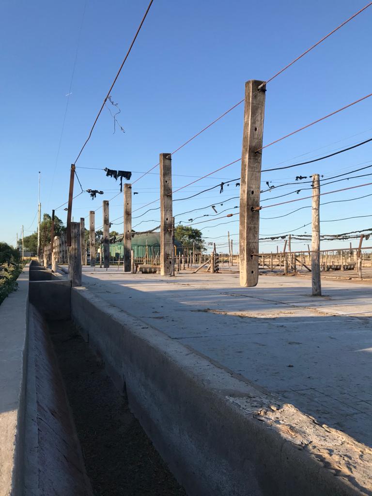 carourd_'s tweet photo. Ayer fuimos al campo con mi viejo y hermanas y la foto solo puede ser esta. Él no dice demasiado, pero qué tristeza. Acá había 500 animales y ahora ninguno. ¿Por qué? 👇 https://t.co/814xqJKVYt