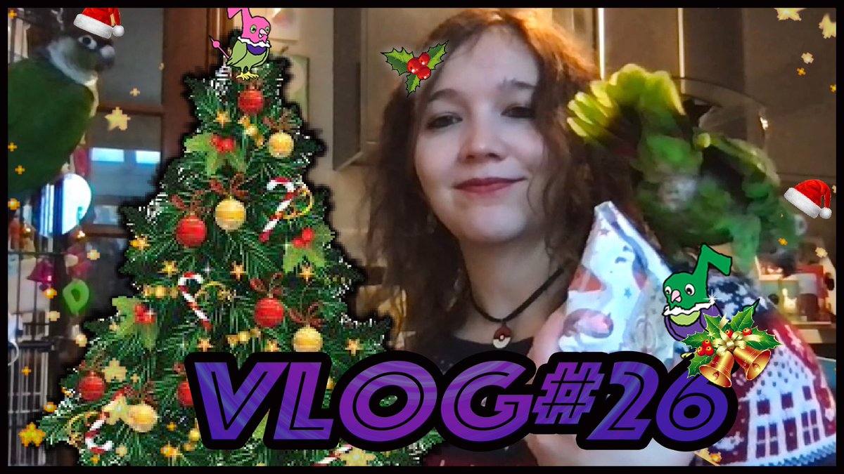 ChattyChatot's tweet photo. Merry Birbmas Everyone. Just a little Vlog of the Birbs opening their presents 🎁 https://t.co/0RjUMUCe8V #birbvlog #birdsofinstagram #birdvlog #christmasvlog #christmasbird #budgies #amazonparrot #greencheekconure #supportsmallstreamers #supportsmallyoutubers https://t.co/hYNpqeecEW