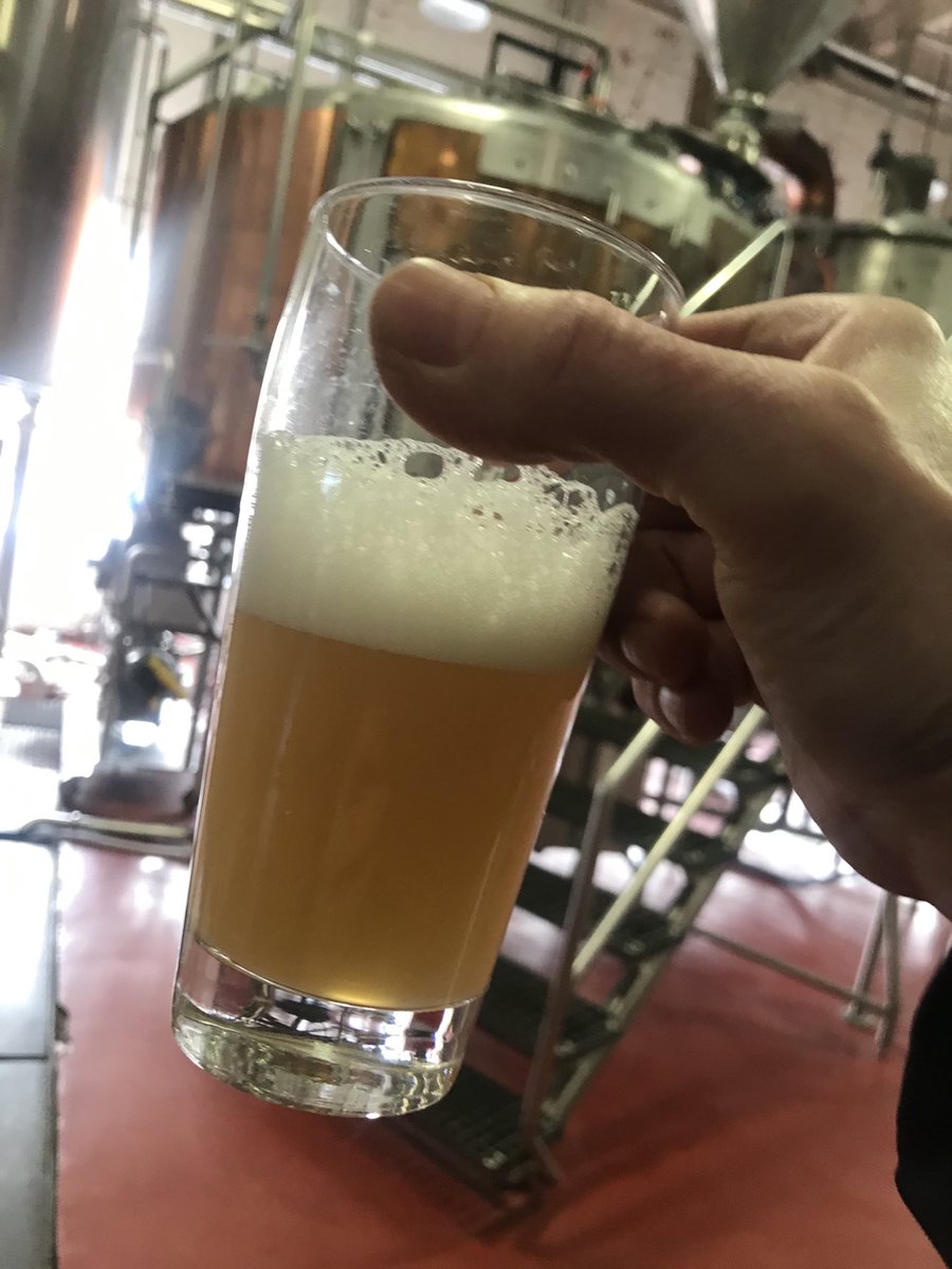 Boxing Day tastings ⁦<a href="/GreatLakesBeer/">Great Lakes Brewery 🇨🇦</a>⁩ include this beauty featuring an unnamed hop from #hopbreedingcompany and ⁦<a href="/YakimaChief/">Yakima Chief Hops</a>⁩. HBC692 is a grapefruit bomb! I like this one.