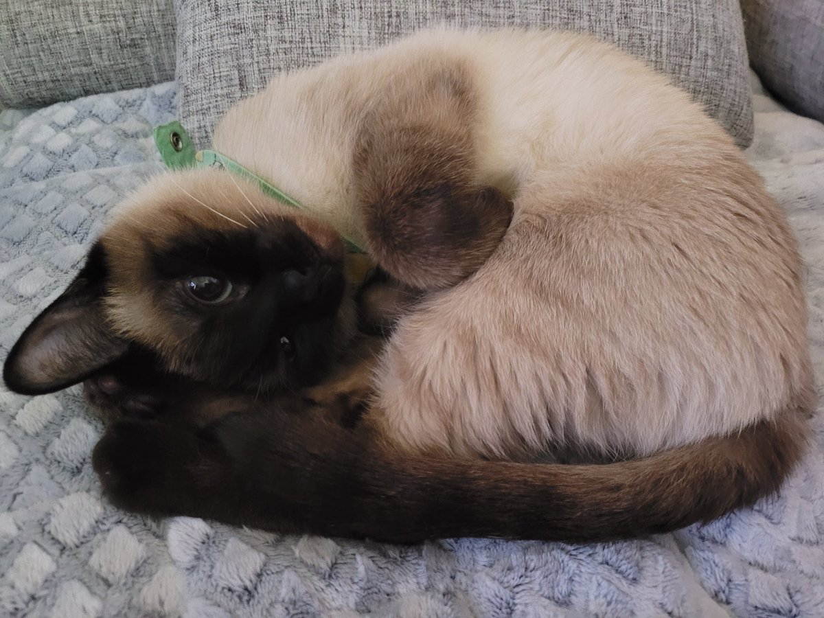 왜용~~?  ♡♡♡♡♡