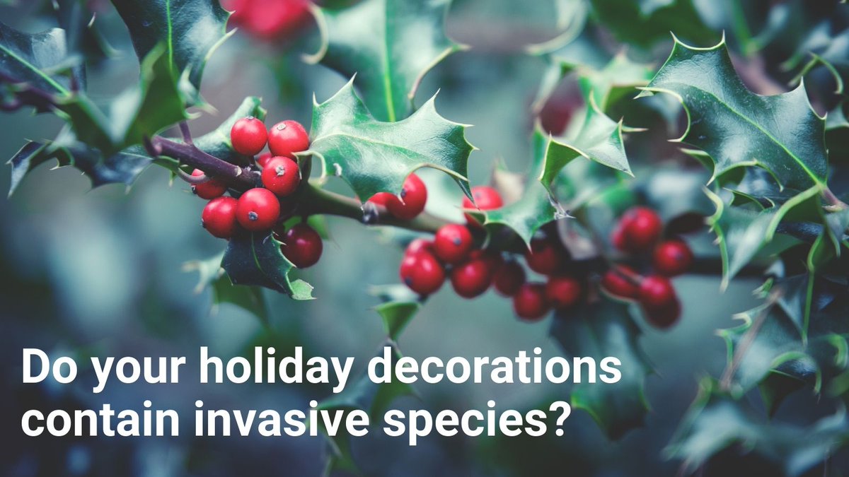 Invasive Species BC tweet media