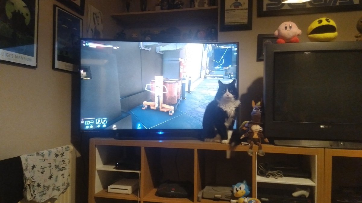 Zoot_Sax's tweet photo. Realistic cat graphics in #Cyberpunk, hope they don't patch it out #GamersUnite #retrogamer #dylancat https://t.co/JJAgrU79Ia