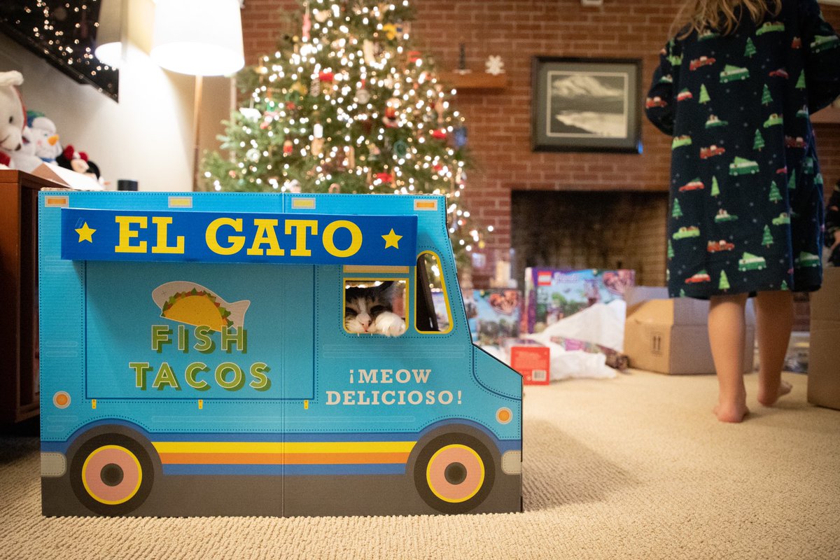 conspire's tweet image. Norm’s newest business adventure El Gato Fish Tacos is open for business ¡Meow Delicioso! / #mainecoon #elgato #fishtacos