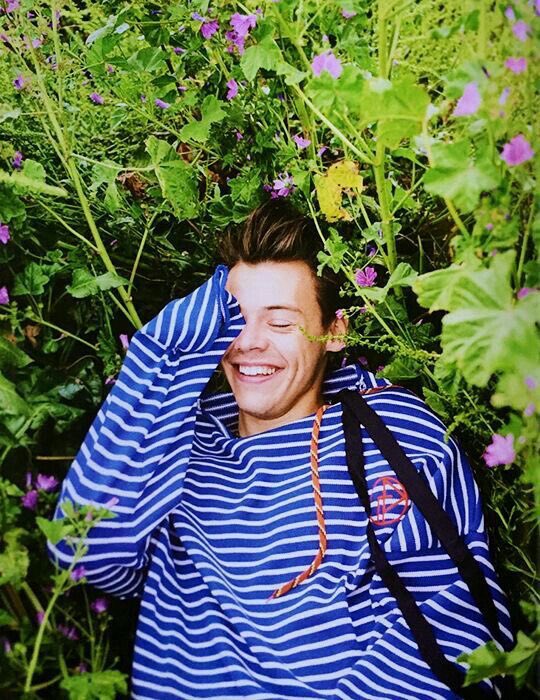 ashe as harry styles; a long thread