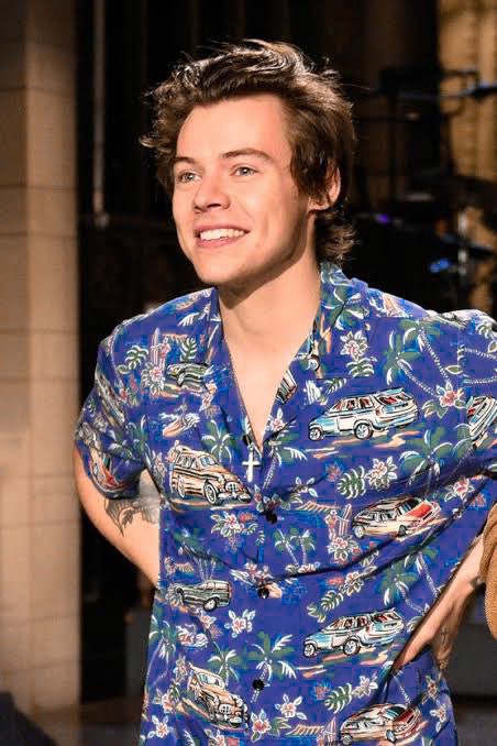 ashe as harry styles; a long thread