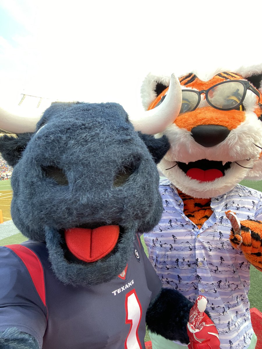 TexansTORO1's tweet photo. 24 hours until kickoff! ππ
#CINvsHOU | #DeepSteelSunday https://t.co/HD2QSfgr6R