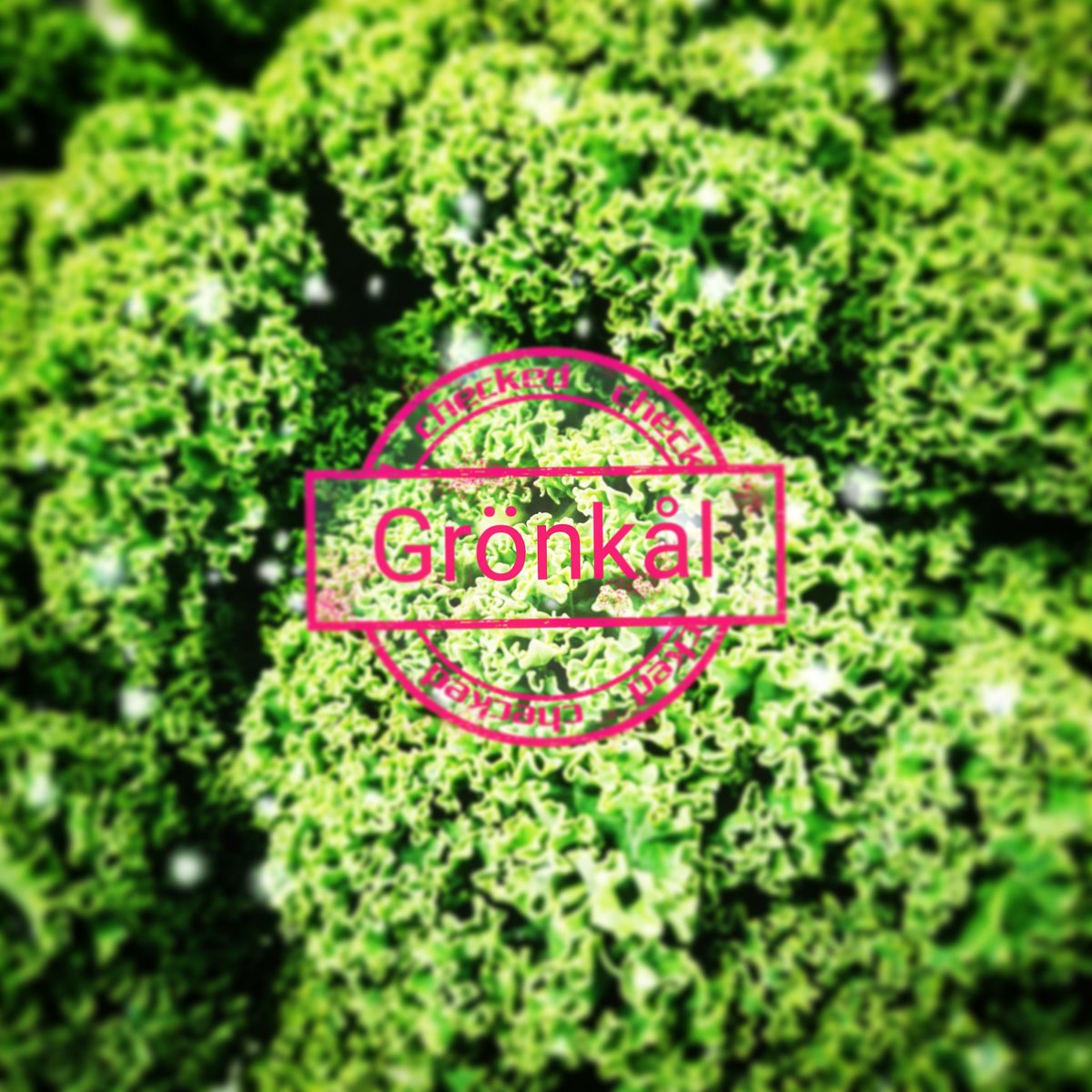 Gissa vem som vann grönkålsutmaningen a la Ugglarps Grönt. En grönkålsrätt varje dag 1-24/12. 💥💚💥
Your's truly! ❤️ Så glad och stolt!