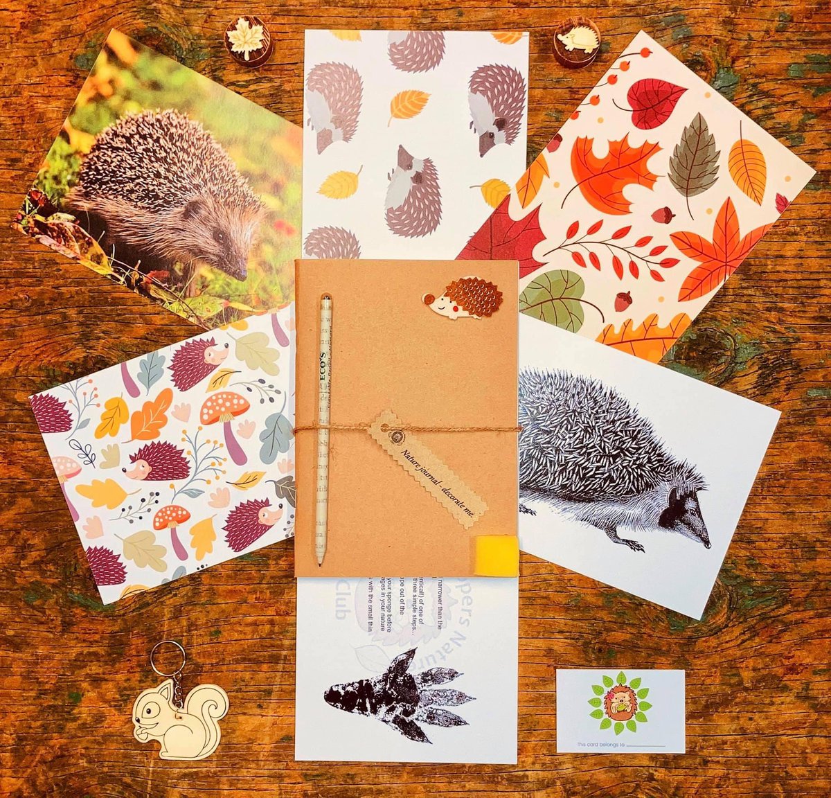 We have officially launched our letterbox nature club - <a href="/NippersClub/">The Nippers Nature Club 🍃</a> 

Our first box has a #hedgehog theme &amp; is bursting with an abundance of activities that are fun,fascinating &amp; full of opportunities for little nature nuts to learn more about this mesmerising mammal! #nature