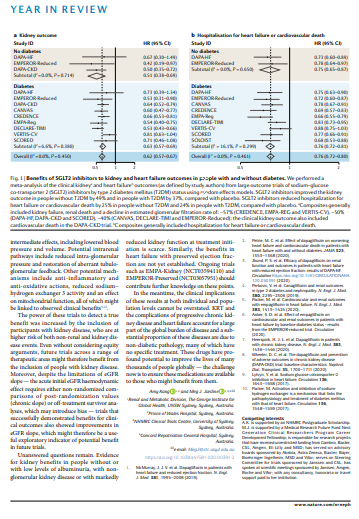 NatRevNeph's tweet photo. In our last 'Year-in-Review' of 2020 @jardine_meg and @AmyKang23 describe the cardiac and kidney benefits of #SGLT2 inhibitors beyond T2DM https://t.co/2P2TIJ3OoU https://t.co/p8QEY8m9SC
