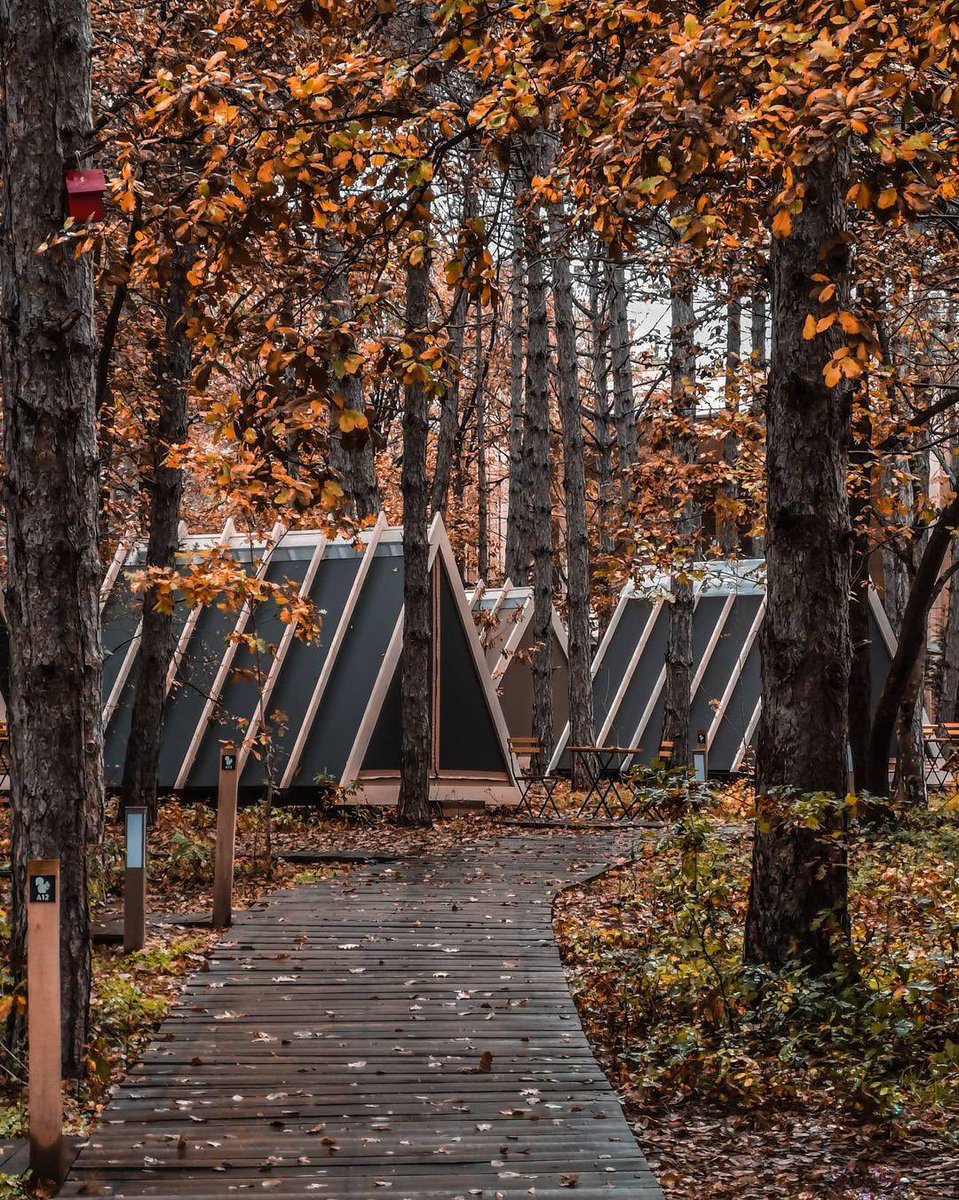 yapilacakIar's tweet photo. Kırklareli, İğneada’da Glamping Çadırlarda kal. https://t.co/DjeaeN2WTj