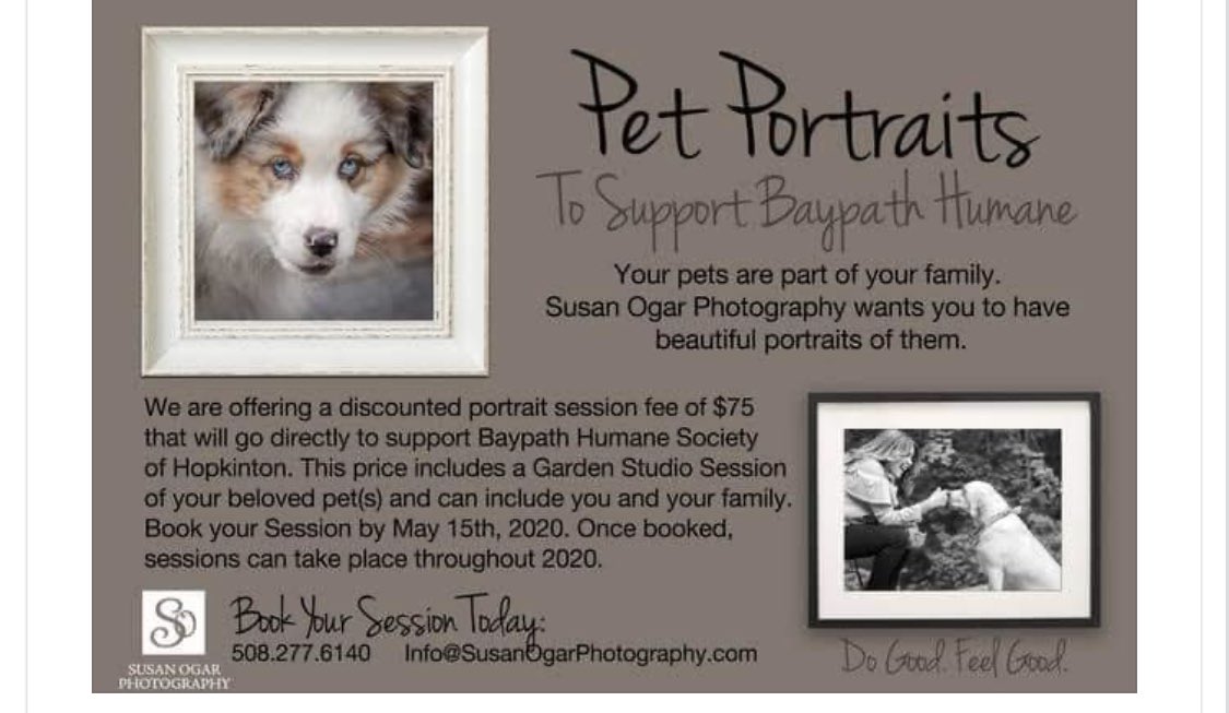 Baypath Humane Society (@BaypathHumane) on Twitter photo 2020-12-27 00:09:03