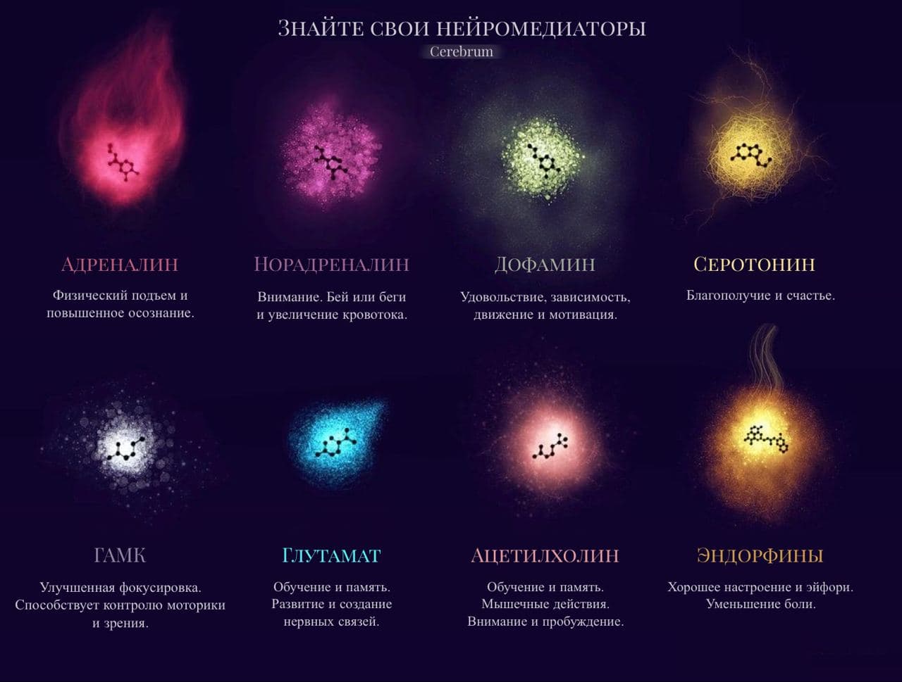 ⚛️ Наука и ее Каноны on Twitter: "Нейромедиаторы — это вещества ...