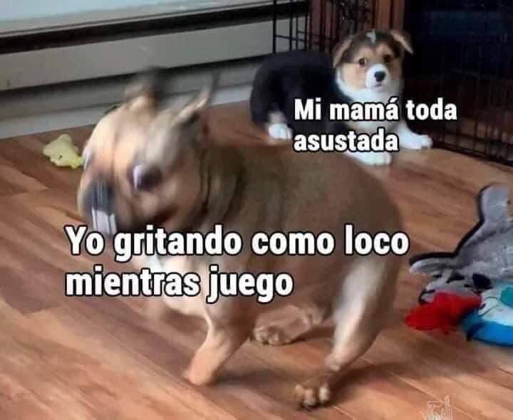 pao ✫*ﾟ･ﾟ｡.☆.* (@paofelix__) on Twitter photo 