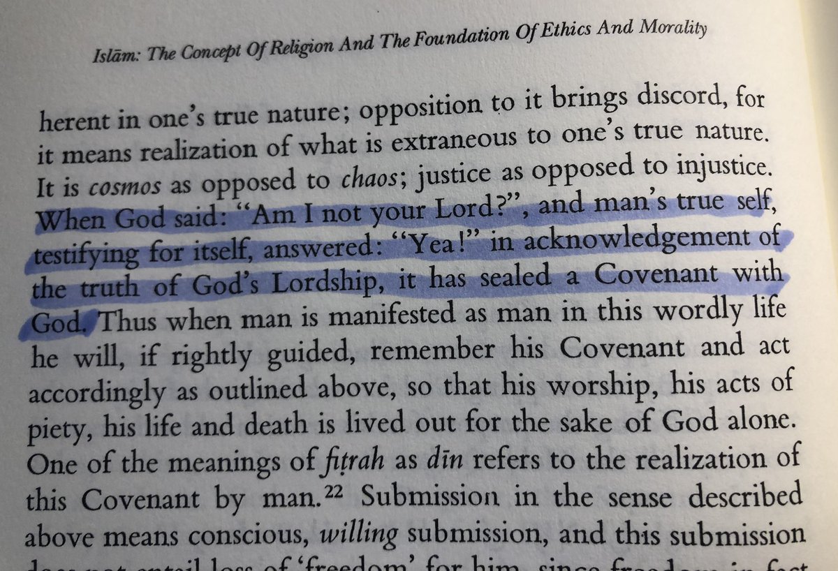 injustice to man's self alone, because he has wronged his own soul, he has put his soul in a place not its own and all of this entails a violation of his Covenant with God.The Covenant every person has with God is the acknowledgement of the truth of God's Lordship.