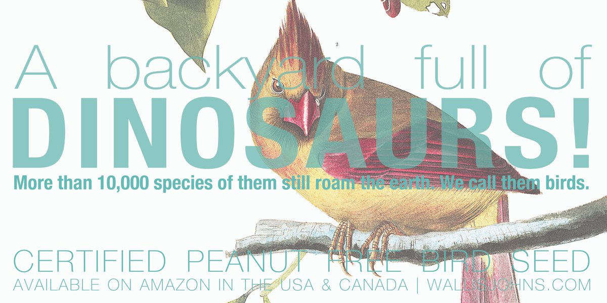 WallisJohns's tweet photo. Stay home. Watch dinosaurs. Stay safe, everyone. #StayHome #StaySafe #LockdownOntario #LockdownLife #BackyardBirds #PeanutFree https://t.co/YBmWKCzjl4