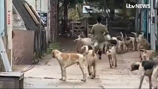 herbieharry's tweet photo. Remember the vile #CountrysideAlliance trying to undo the damage caused by the leaked webinars (in which top hunting officials filmed discussing how to lie, mislead & break the law) so they put out this guff abt #Kimblewick ‘trail’ hunting. The hunt just exposed by @rupertevelyn https://t.co/ZrSiKZ6Tao