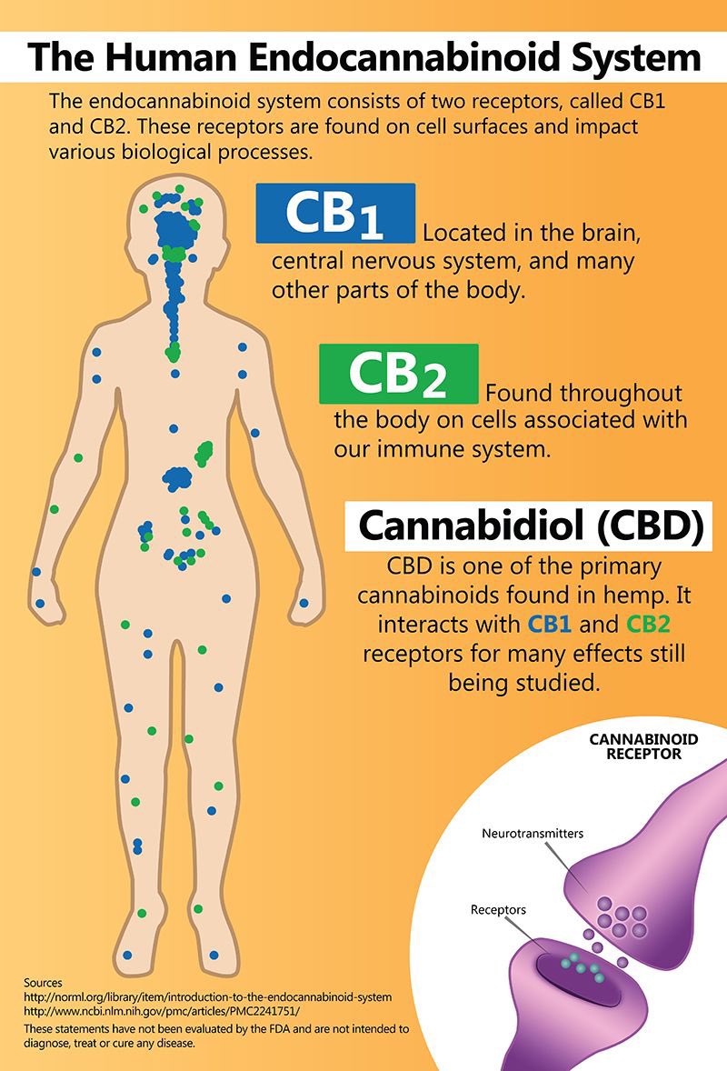The endocannabinoid system and CBD