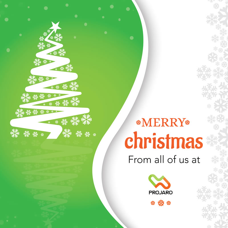 Merry Christmas to you and yours from all of us at Projaro. Next year would be better. Don't give up!