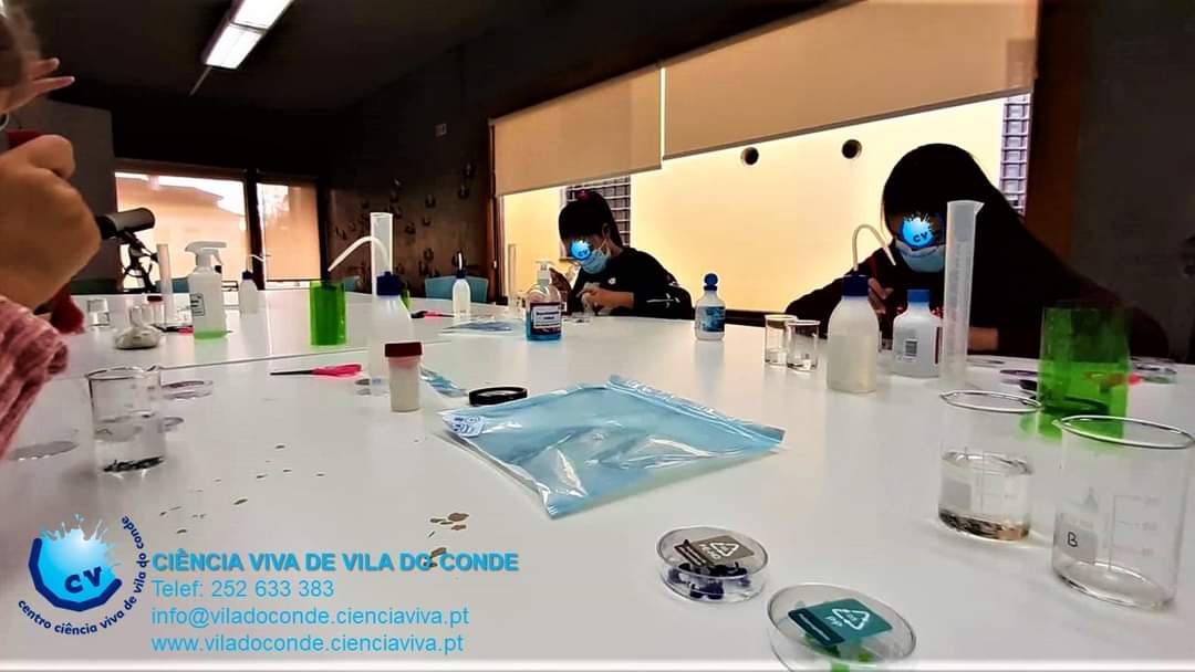 As “Pequenas Exploradoras de Natal” preocupam-se com a problemática ambiental do lixo plástico. Realizaram diversas experiências para identificar polímeros através dos códigos SPI e por testes de densidade e, por fim, reutilizando plásticos construíram Estrelas de Natal.