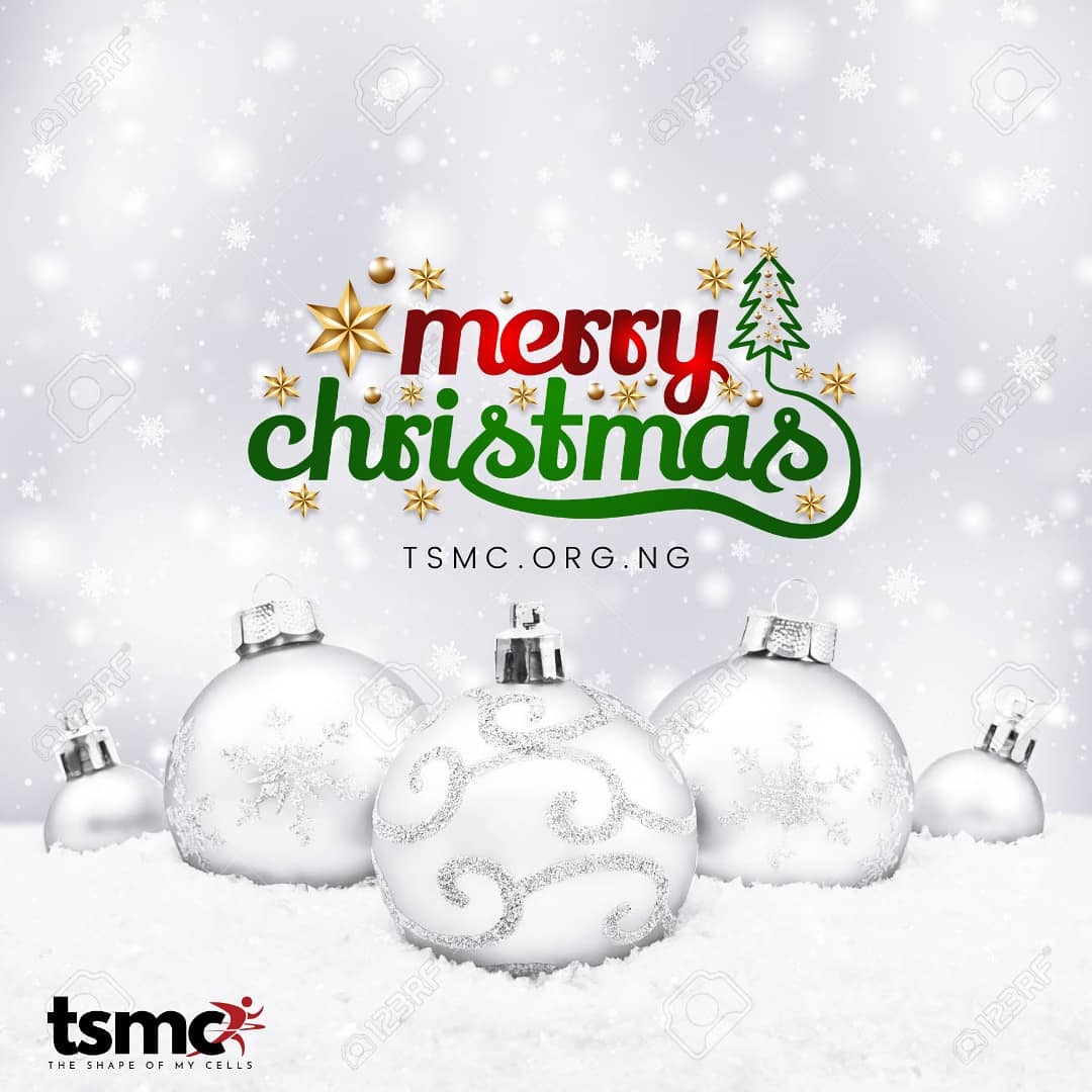 tsmcorg's tweet image. From all of us at TSMC, Merry Christmas to you and yours.