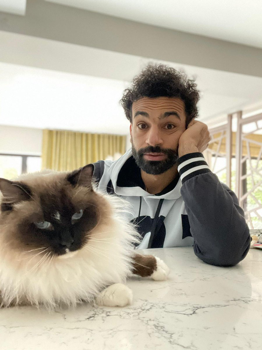 Mohamed Salah (@mosalah) on Twitter photo 