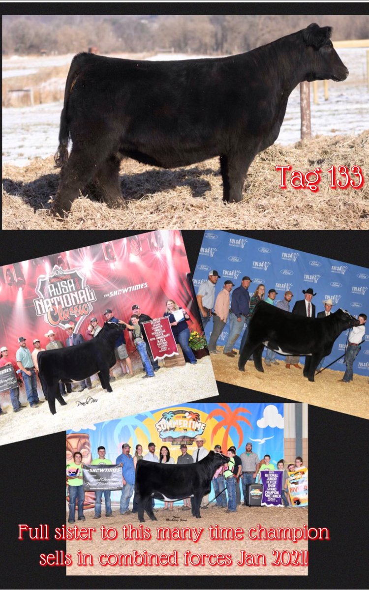 SheaGeffert's tweet photo. Combined forces bred female sale https://t.co/X4P35TwIOR