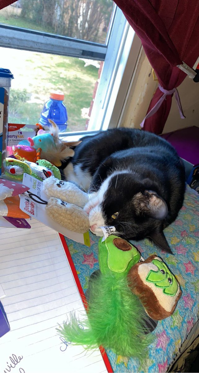 Boopiecat's tweet photo. HAPPY CHRISTMAS TO MEEE https://t.co/CSDXFvojG5