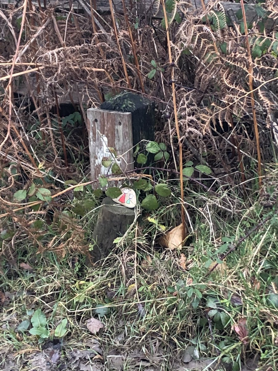 GreenLangton's tweet photo. Hidden in 100 acre wood near Pooh bridge #langtongreen #rusthall #tunbridgewells #rockartcraze #kindnessrocks #paintedrocks #GoRockFun #paintingrocks #hiddenrocks #artandcrafts #rockpainting #Creative #creativity #pebblepainting #paintedrock #artwork #lgrocks https://t.co/rqfANZWeFL