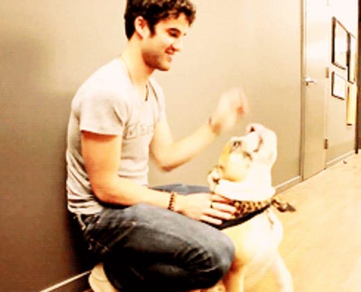 𝑫𝒂𝒓𝒓𝒆𝒏 𝑪𝒓𝒊𝒔𝒔 𝒂𝒔 𝑷𝒓𝒊𝒏𝒄𝒆 𝑬𝒓𝒊𝒄 — 𝑨 𝒕𝒉𝒓𝒆𝒂𝒅