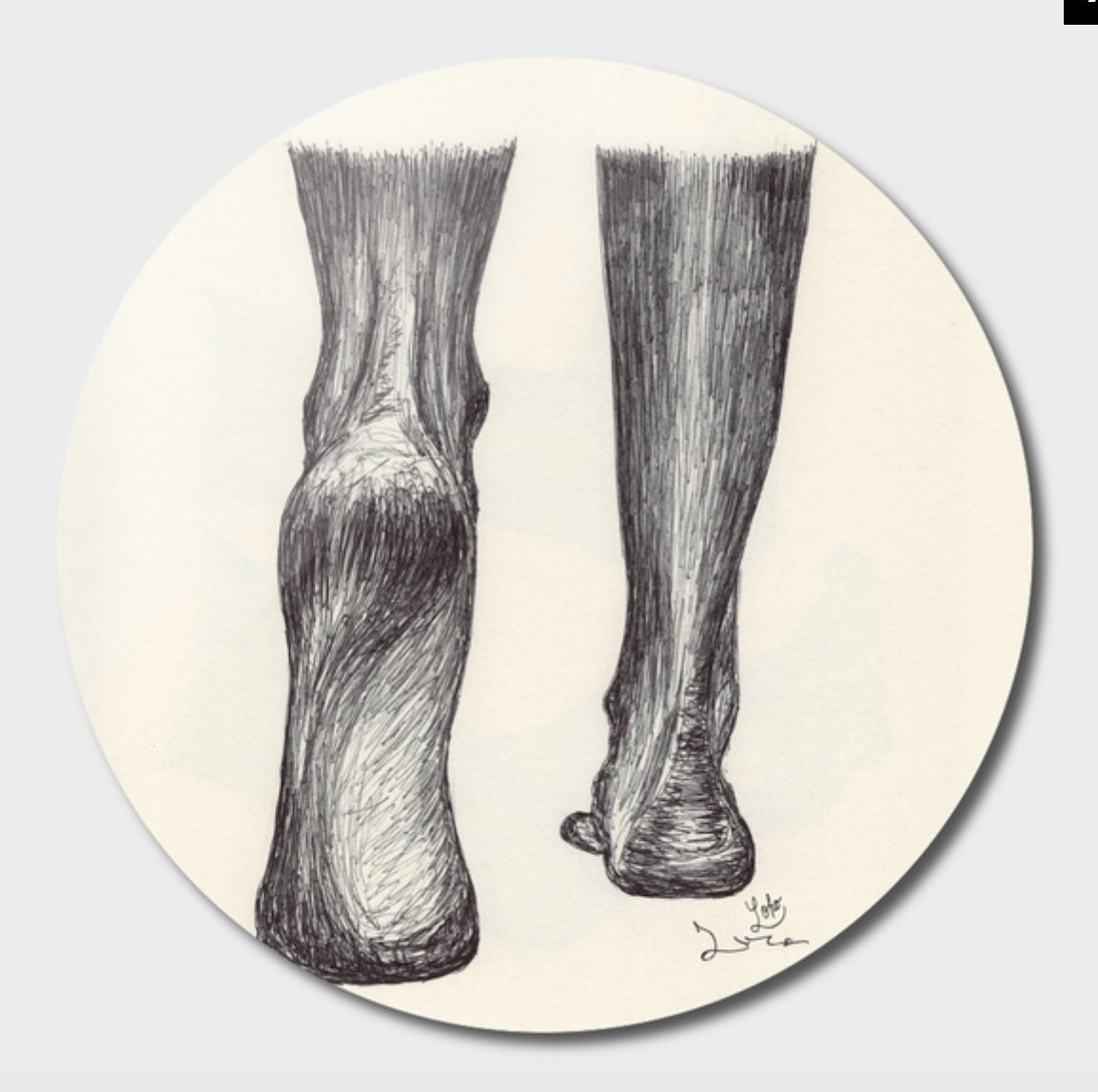 ballpenillust's tweet photo. CURIOOS
https://t.co/298Z6RP6EK
#curioos #print #artworks #wallart #tshirt #products #insta #instagram #instagrammer #instadaily #instaday #instagood #instapic #instaart #instaartist #instaproduct #foot #feet #ballpen #drawing #sketch #illustration #moleskine #parkerpen #art https://t.co/04U1rMhAb1