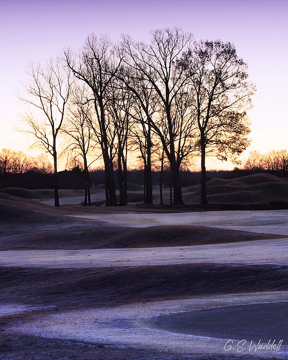 New artwork for sale! - "Path to a New Day" - fineartamerica.com/featured/path-… @fineartamerica