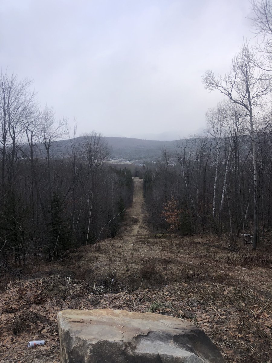 Ski got rained out; long run in the woods