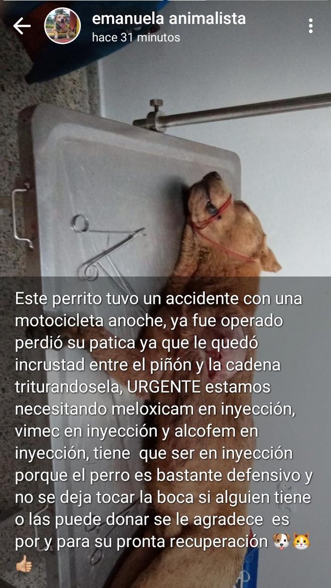 FProanimales's tweet photo. Por favor. Necesitamos su Apoyo..!!! https://t.co/ltPugvhnGB