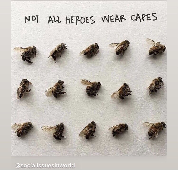 german_api's tweet image. 